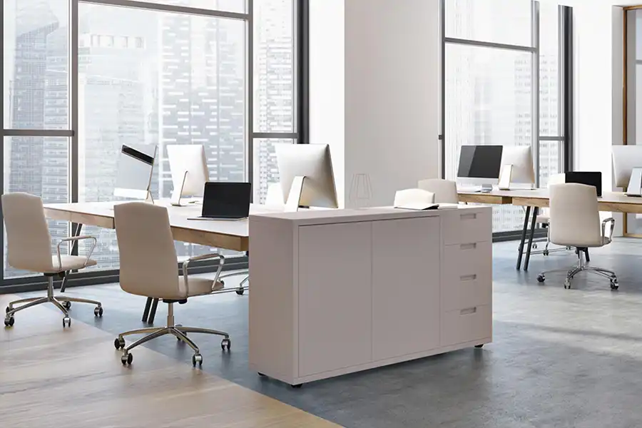 Other Services by Loida’s House Cleaning Service